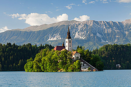流血,岛屿,教堂,布莱德湖,斯洛文尼亚,欧洲