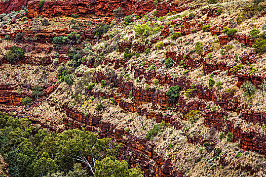 峡谷,卡瑞吉尼国家公园,西澳大利亚州,澳大利亚