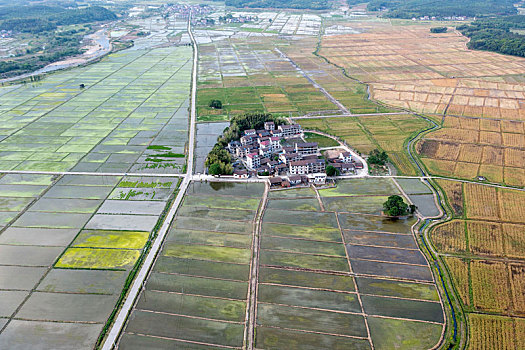 江西金溪,山村田园美