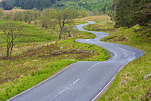 弯曲,乡间小路,尼维斯岛,靠近,堡垒,苏格兰,英国