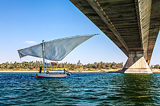 旅游,三桅帆船,帆,桥,阿斯旺,尼罗河,埃及