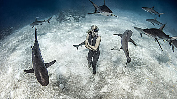 水下视角,女性,自由,跳水,站立,海底,围绕,礁石,鲨鱼,巴哈马
