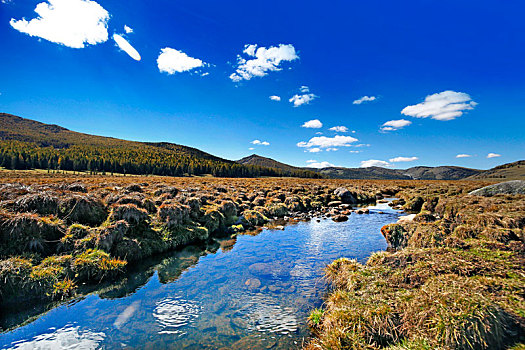 阿勒泰美景