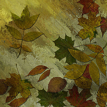 艺术,秋叶,背景,绿色,米色,褐色,彩色