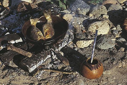 壁炉,煎锅,溪红点鲑,金属,类葫芦果,巴塔哥尼亚,阿根廷,南美