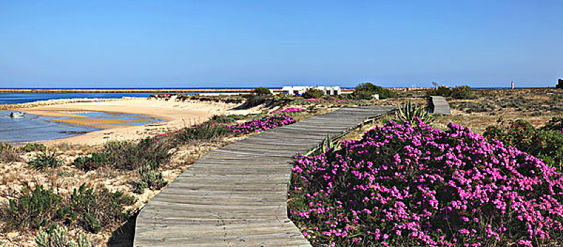 岛屿,阿尔加维,葡萄牙