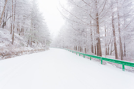 陕西,秦岭,公路,雪景