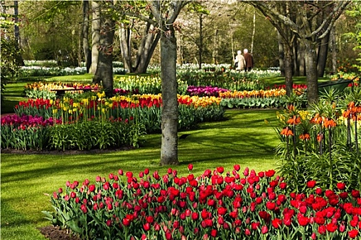 彩色,公园,春天