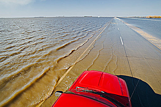 红河,洪水,公路,农田,山谷,靠近,莫理斯,曼尼托巴,加拿大