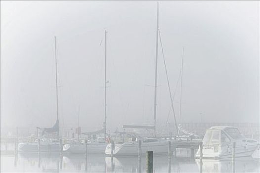 游艇,港口,薄雾