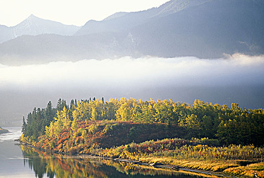晨雾,上方,弓河,秋天,靠近,加拿大,艾伯塔省