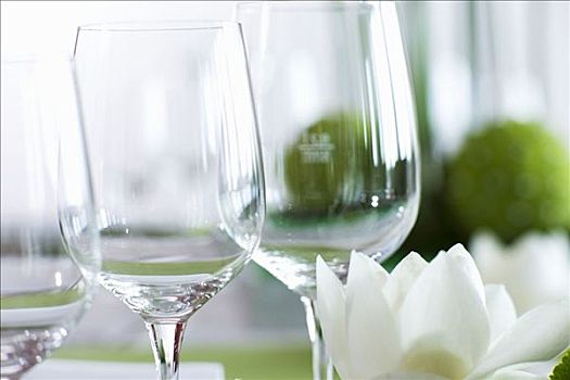 葡萄酒杯,花,桌子