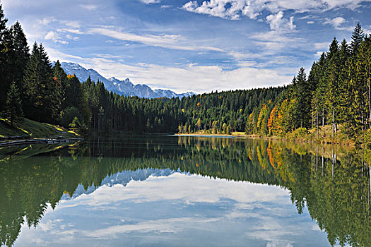 树林,云,反射,湖,上巴伐利亚,巴伐利亚,德国