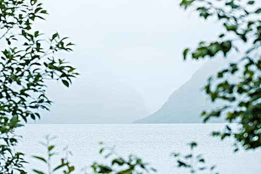 高山湖,雾