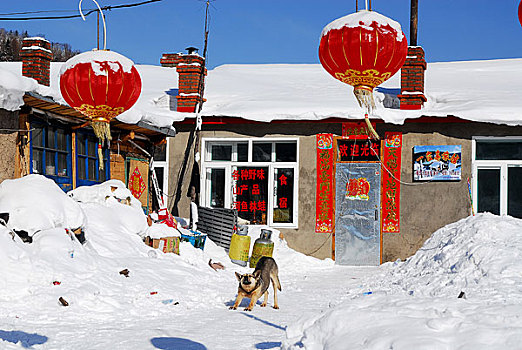 东北雪中民居