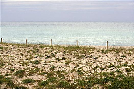 护栏,海滩