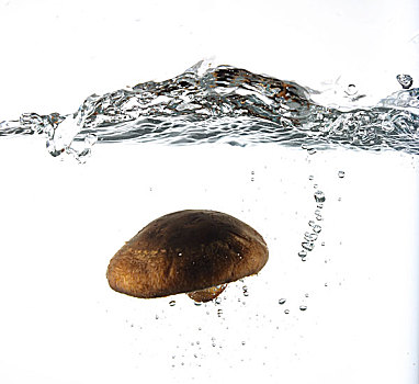 蘑菇入水