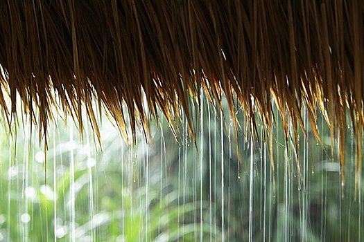 特写,雨,茅草屋顶