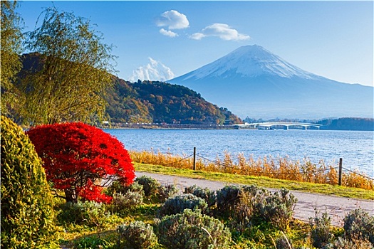 山,富士山,秋天