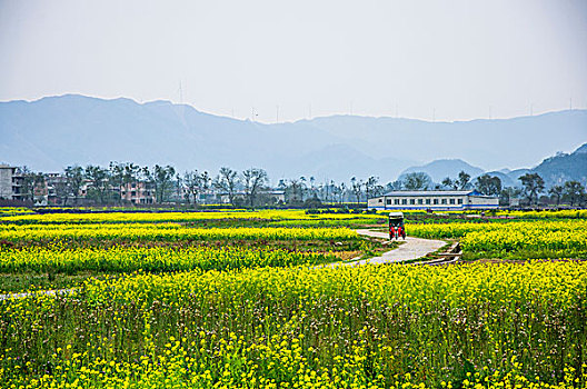 田园春色