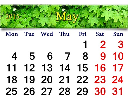 日程,五月,图像,枫树