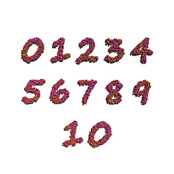 数字,创作,红色,花,白色背景