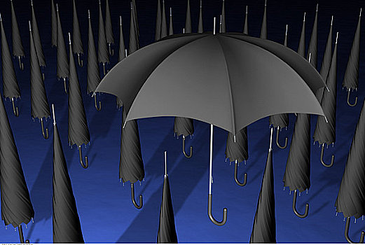 一个,伞,围绕,特写