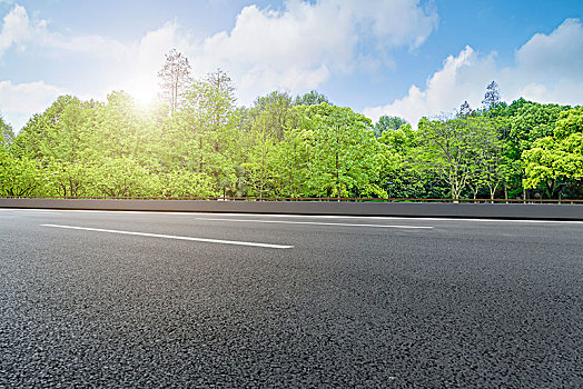 公路路面和绿树林