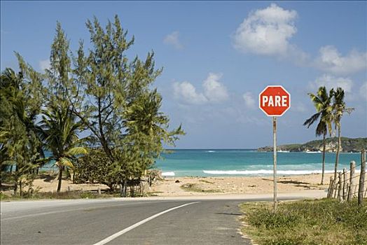 停车标志,蓬塔卡纳,多米尼加共和国,中美洲