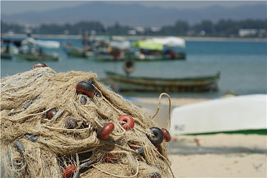 海岸