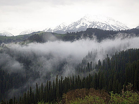 云雾天山