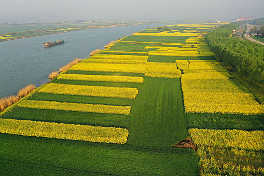 淮河,田园