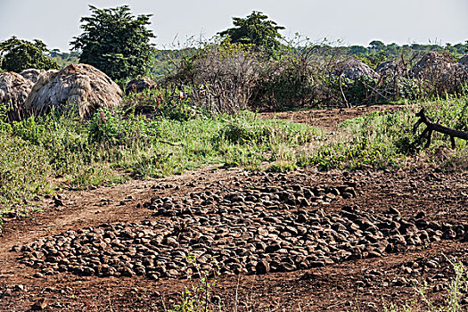 石头,户外,乡村,埃塞俄比亚