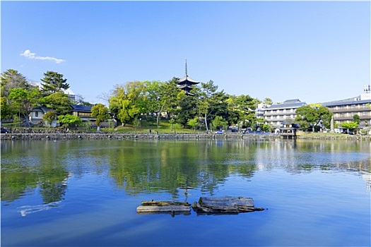奈良,日本,水塘