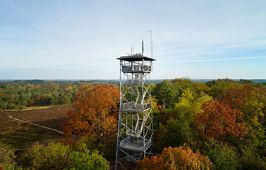 瞭望塔,秋天,木头,移动,沟通,天线,俯视图,荷兰