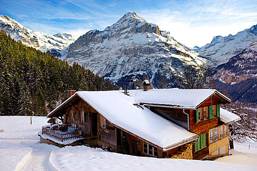 山,木房子,冬天,看,少女峰,格林德威尔,阿尔卑斯山,瑞士,欧洲