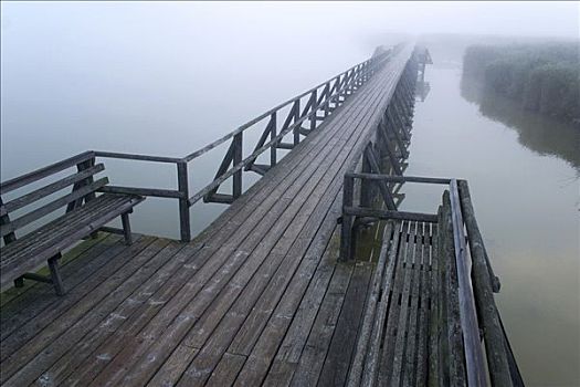 码头,薄雾,坏,巴登符腾堡,德国