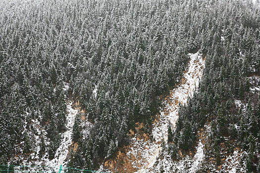 四川,黄龙,雪山,寒冷,村庄,户外,原野,苍凉,冬季,雪,冬雪,大地,天空,山,树木