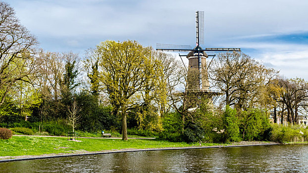 荷兰,风车,阿克马镇