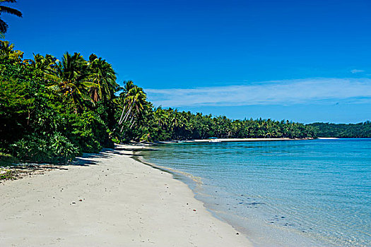 白沙滩,青绿色,水,岛屿,蓝色泻湖,斐济,南太平洋