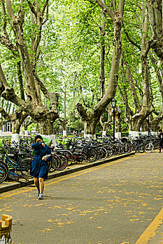 南京东南大学