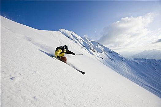 自由式,滑雪者,地形,遮盖,大雪,北方,提洛尔,奥地利,欧洲
