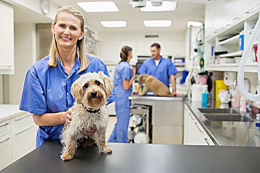 兽医,微笑,狗,外科手术