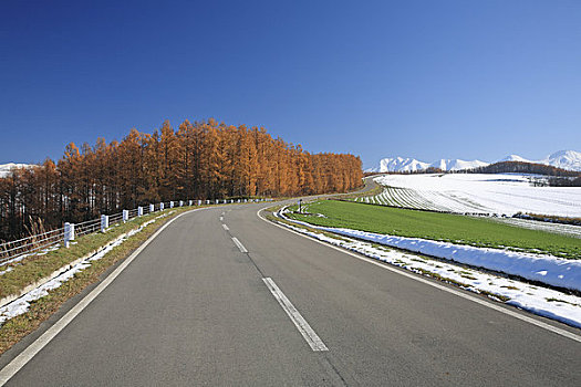 道路,十胜岳山