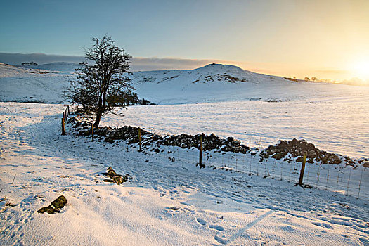 日出,上方,积雪,地点,冬天,风景