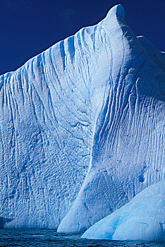 南极,欺骗岛,朝日,蓝色,冰山,靠近,南设得兰群岛