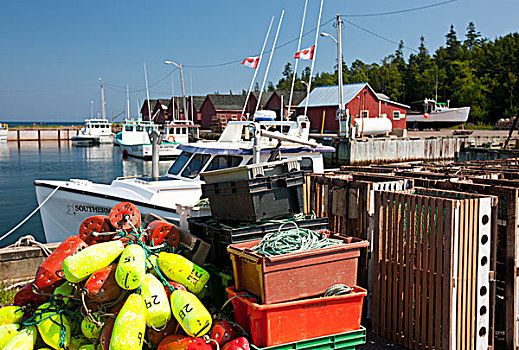 渔船,捆绑,码头,湾,港口,爱德华王子岛,加拿大