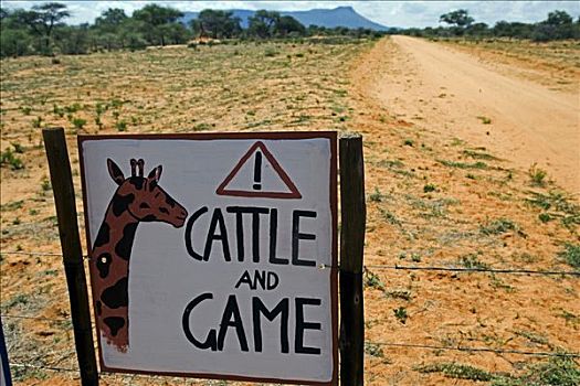 非洲,纳米比亚,埃龙戈区,土路,灌木,农场,标识,途中,危险,速度,牛,游戏,动物