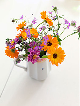花瓶,万寿菊,紫花,白色,瓷瓶