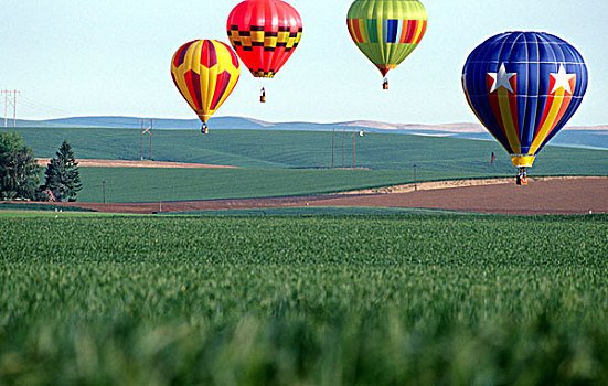 彩色,热气球,上方,麦田,瓦拉瓦拉,华盛顿